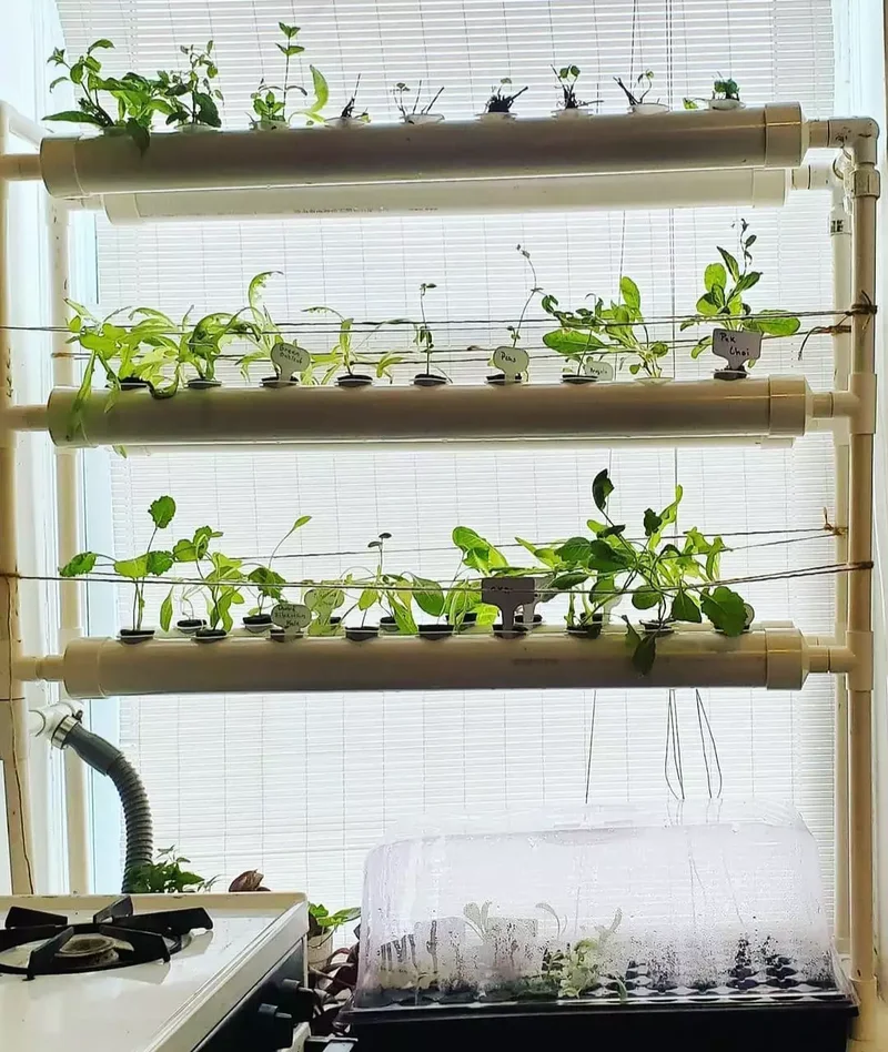 Indoor Hydroponic Garden