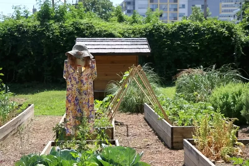 26 Vegetable Garden Ideas for Fresh Homegrown Produce 17 Install a Scarecrow