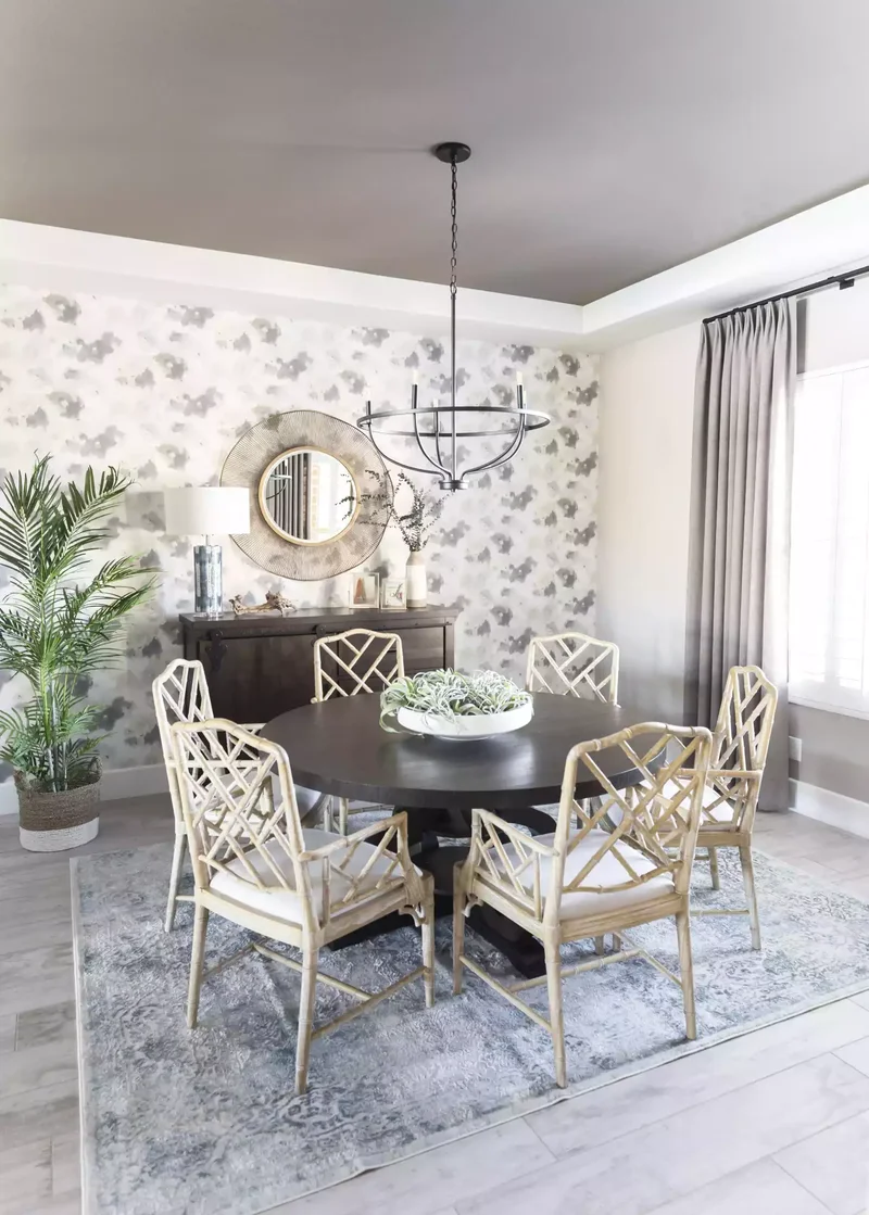 Introduce Air Plants