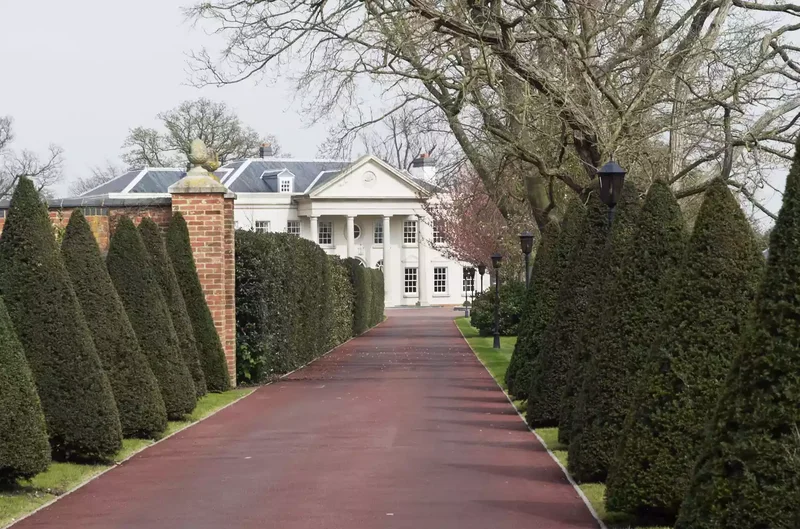Italian Cypress Driveway Entrance