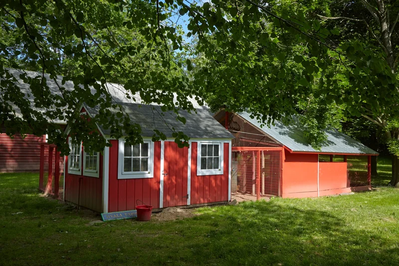 Keep Hens Cool Outside