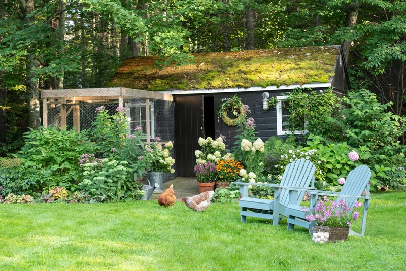 Landscape Your Chicken Coop
