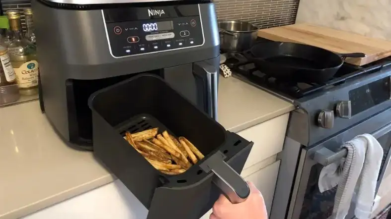 Large  Air Fryers For A Family Of 5