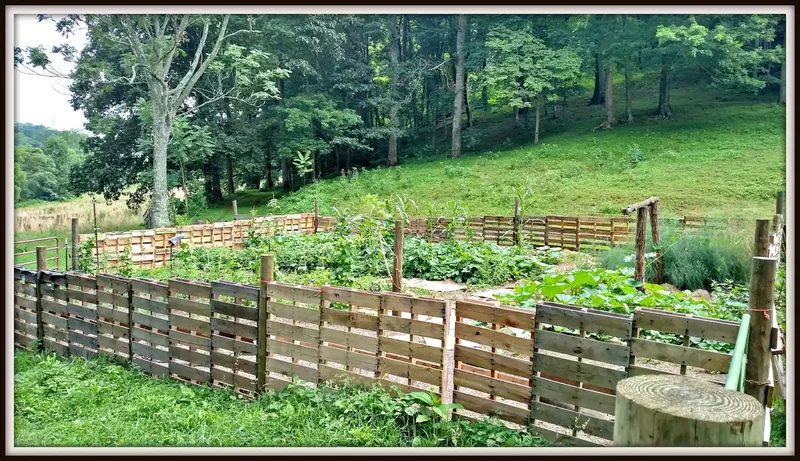 Large Pallet Garden Fence