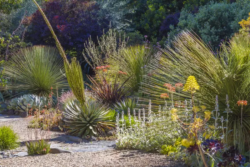 Large-scale Gravel Garden