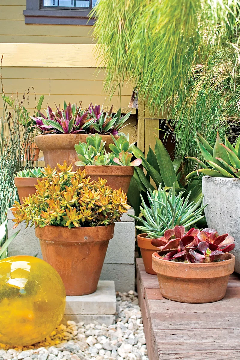 Layer Plants and Landscaping