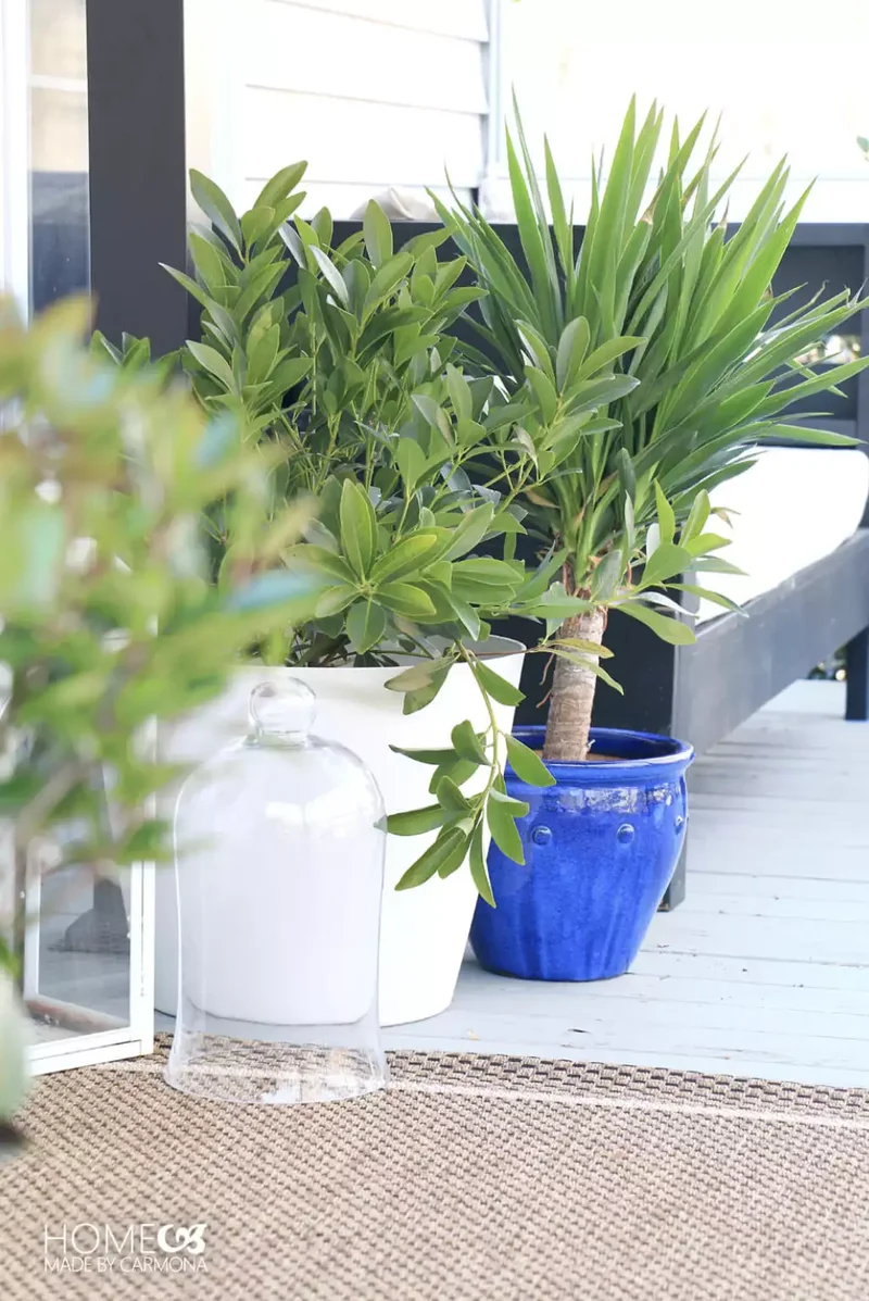 66 Beautiful Patio Landscaping Ideas for Your Outdoor Space 20 Layer the Plants