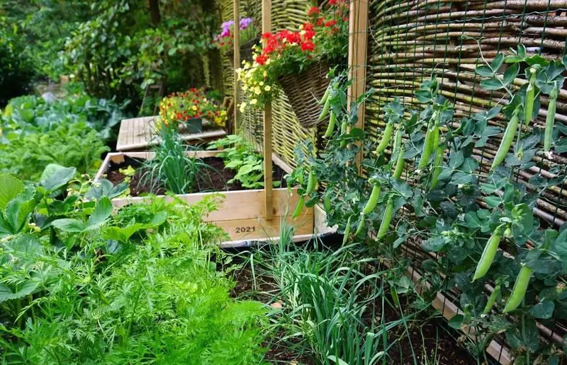 26 Vegetable Garden Ideas for Fresh Homegrown Produce 20 Let Vining Plants Climb
