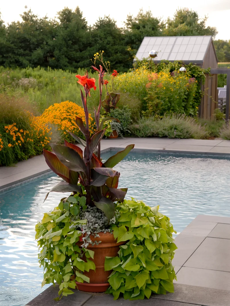 20 Stunning Pool Landscaping Ideas to Design Your Backyard Oasis 4 Let it Flow