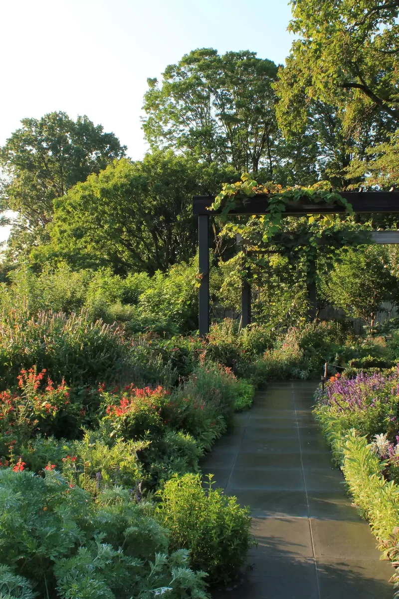 52 Beautiful Backyard Landscaping Ideas for Your Home 7 Line a Pathway With Colorful Plants