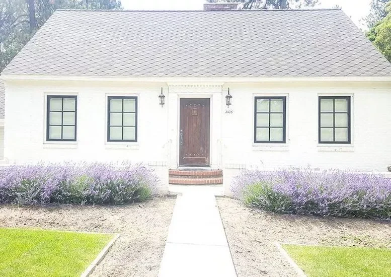 82 Stunning Front Yard Landscaping Ideas to Try This Spring 7 Low-Maintenance Lavender