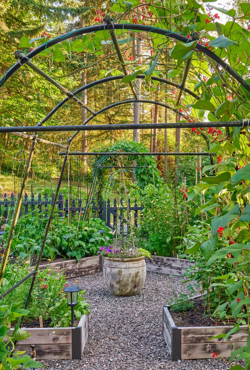 14 Garden Trellis Ideas to Showcase Your Vegetable Plants 3 Make It Industrial Strength
