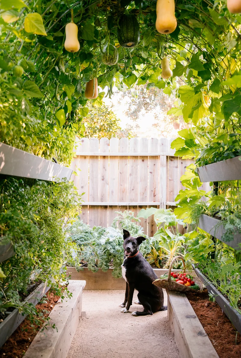14 Garden Trellis Ideas to Showcase Your Vegetable Plants 9 Make It Multi-Functional