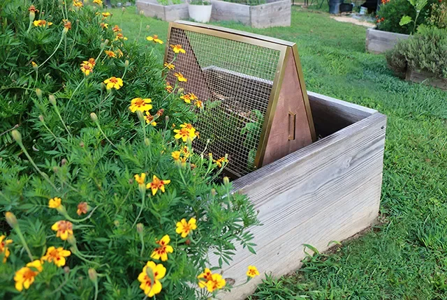 57 Stunning Garden Decor Ideas to Transform Your Outdoor Space 25 Make a Plant Cover