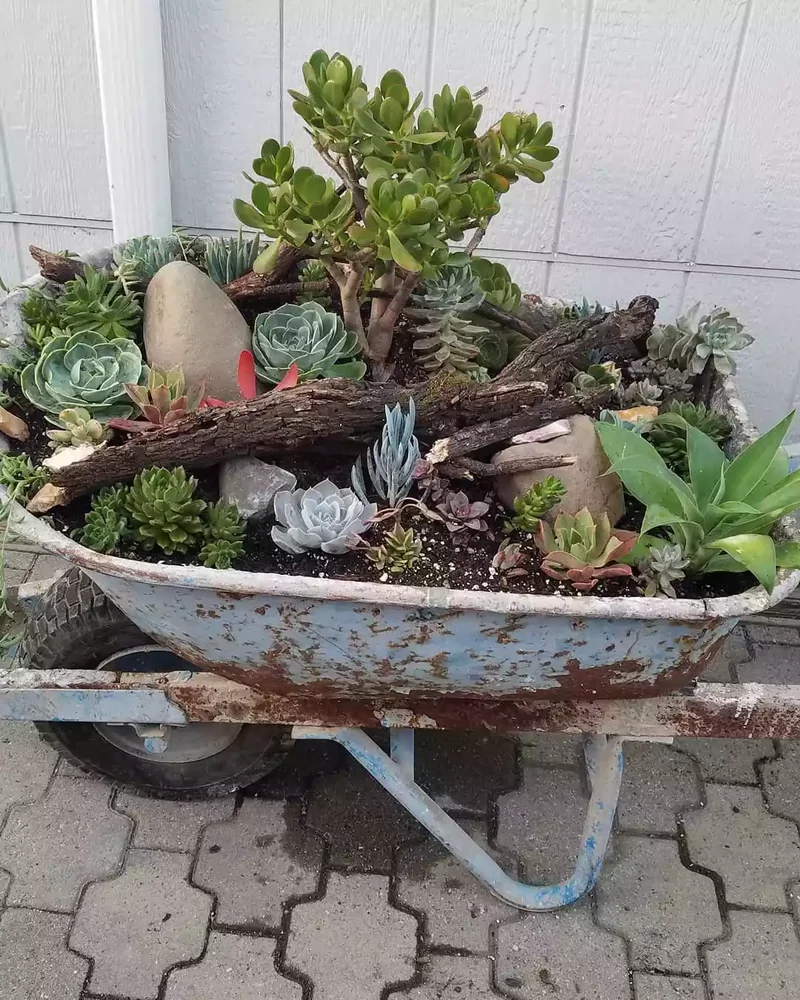 43 Budget-Friendly Backyard Makeover Ideas You'll Love 21 Make a Wheelbarrow Planter