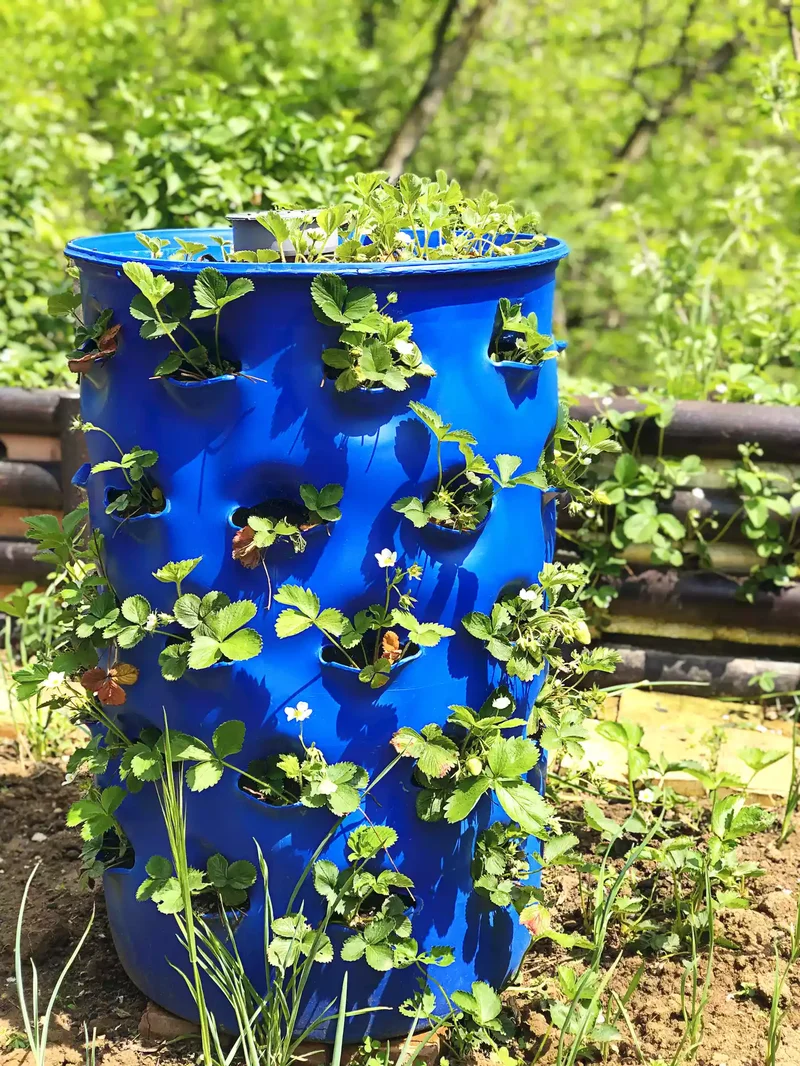 43 Budget-Friendly Backyard Makeover Ideas You'll Love 29 Make an Upcycled Strawberry Planter