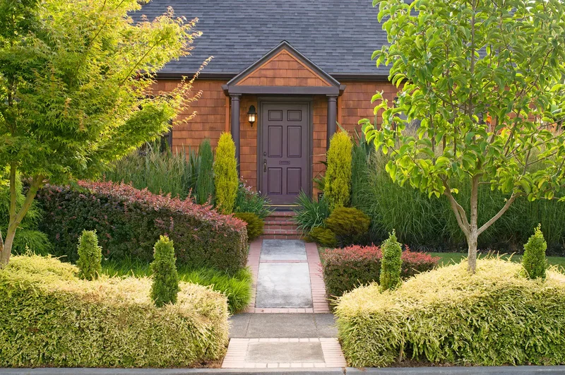 Make the Most of Trees and Shrubs