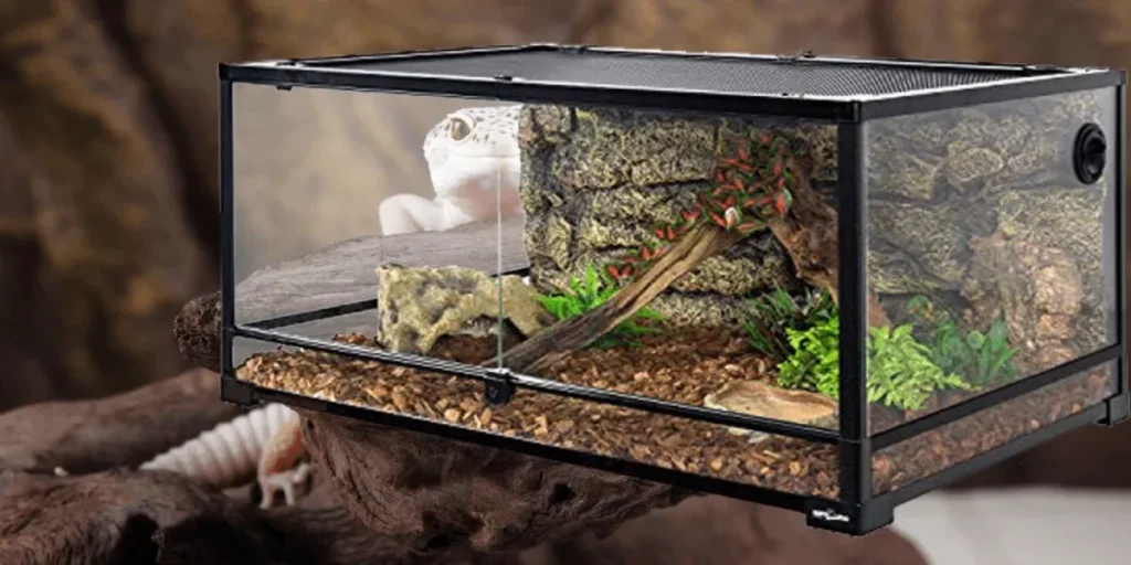 What Size Tank For Leopard Gecko?