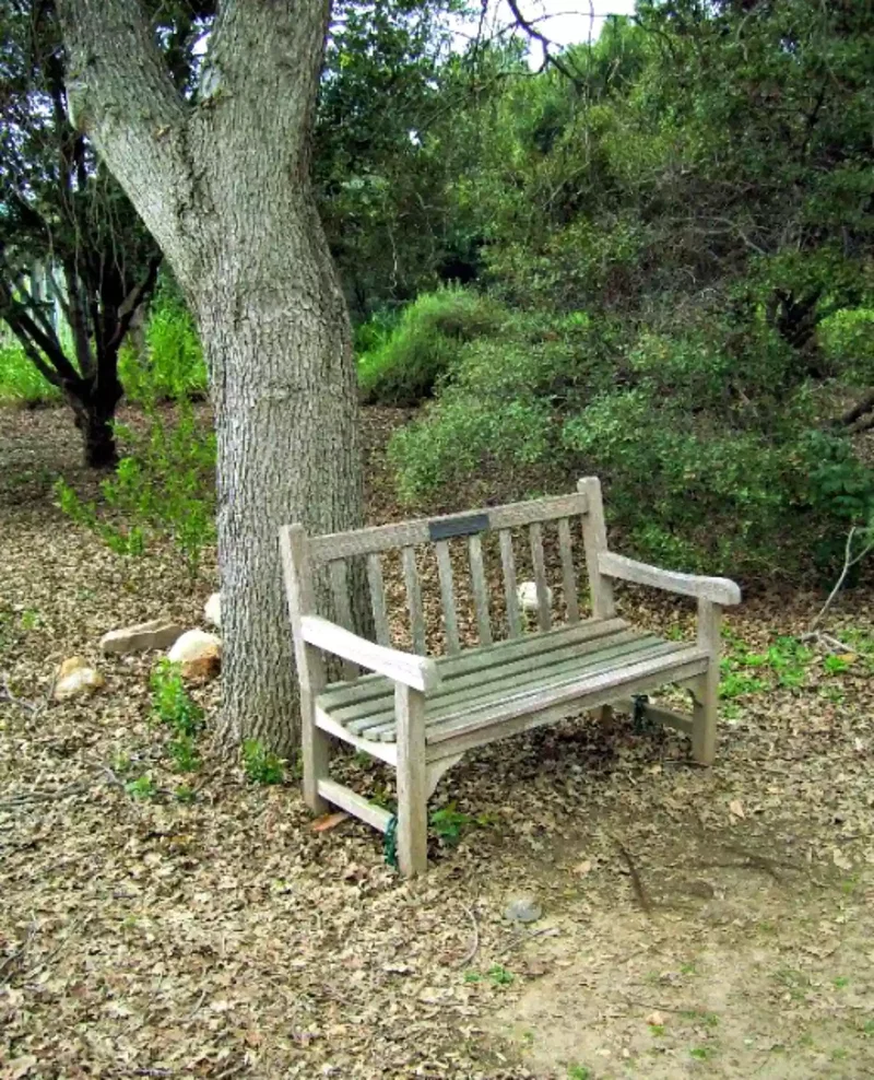 15 Beautiful Garden Bench Ideas to Transform Your Yard 14 Memorial Bench