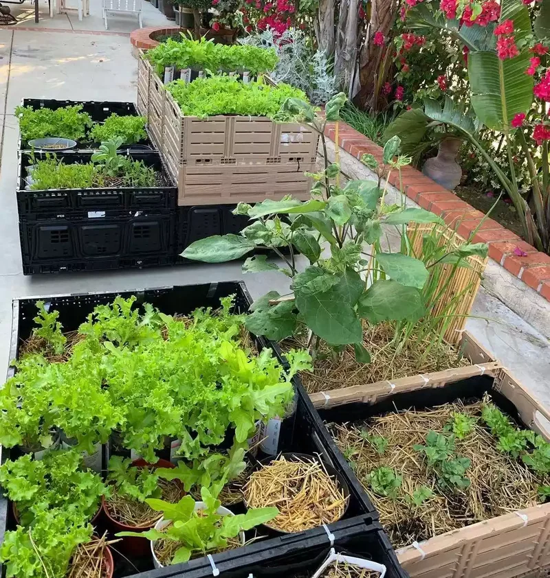 32 Creative Raised Garden Bed Ideas for Your Outdoor Space 13 Milk Crate Raised Garden Bed