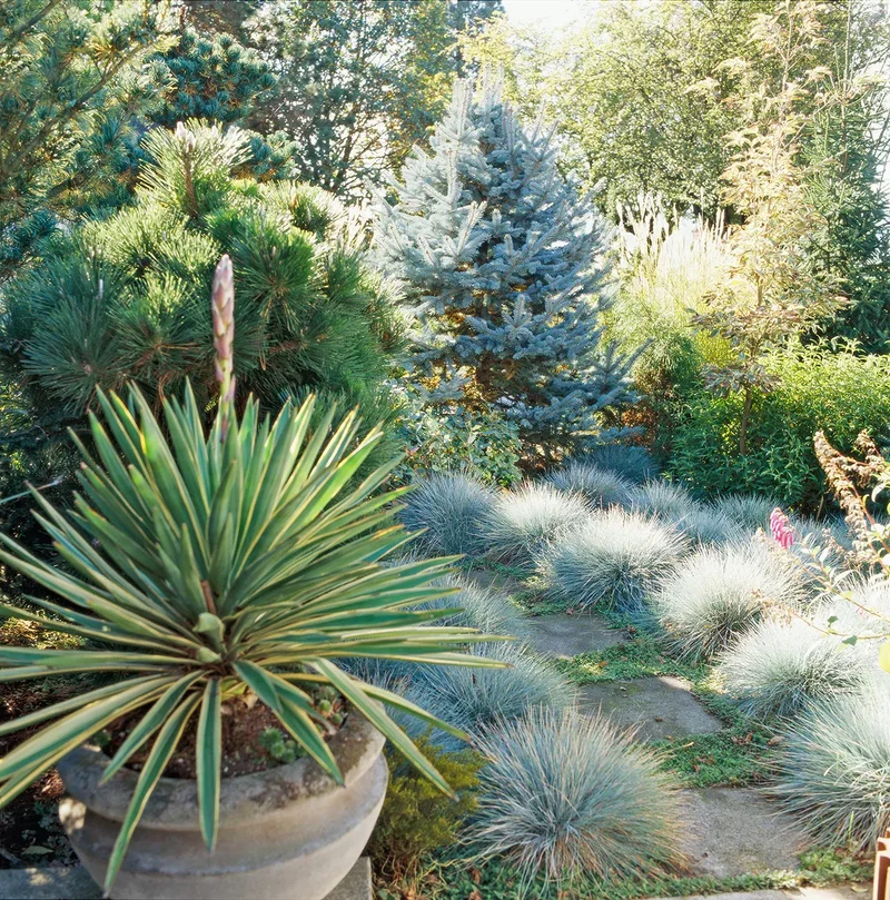 Mix and Match Plant Textures