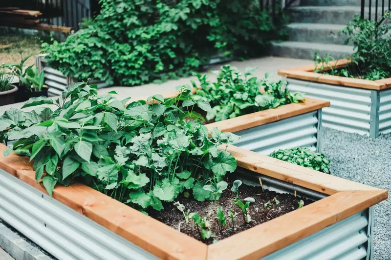 32 Creative Raised Garden Bed Ideas for Your Outdoor Space 24 Modern Corrugated Metal Raised Bed
