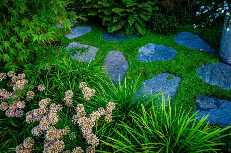 Mossy Stepping Stones