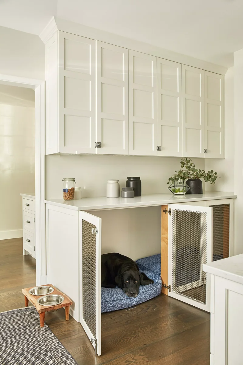 Mudroom with Pet Storage