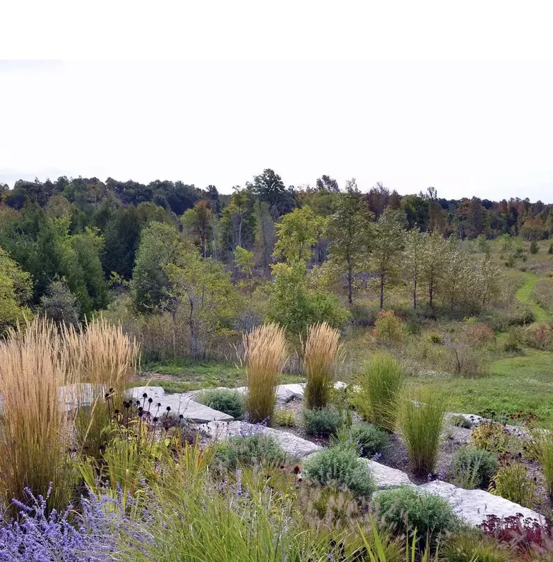 Natural Stone Edging
