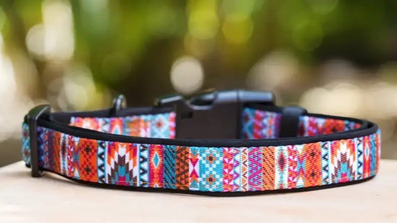 Neoprene Collar for puppy