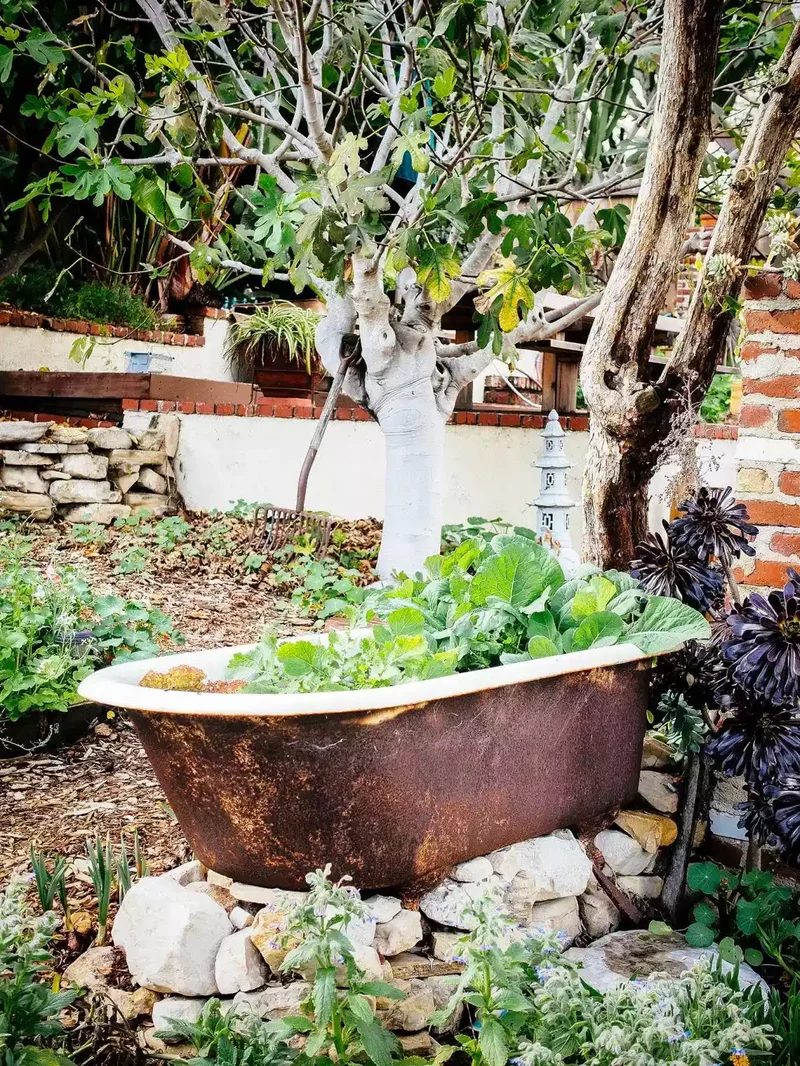 35 DIY Backyard Garden Projects to Transform Your Space 14 No Dig Garden