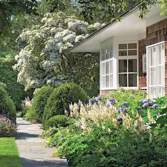 82 Stunning Front Yard Landscaping Ideas to Try This Spring 43 One Large and Luscious Shrub