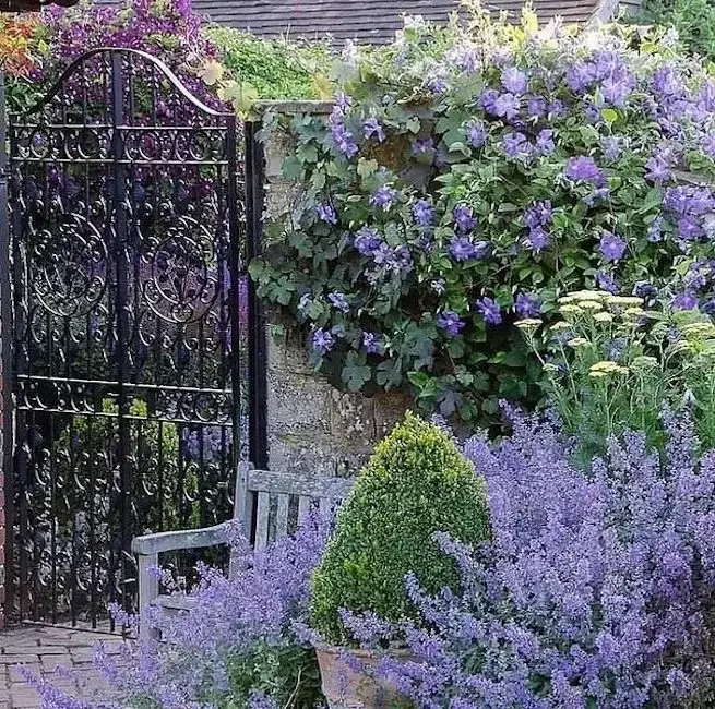 82 Stunning Front Yard Landscaping Ideas to Try This Spring 16 One Vibrant Color