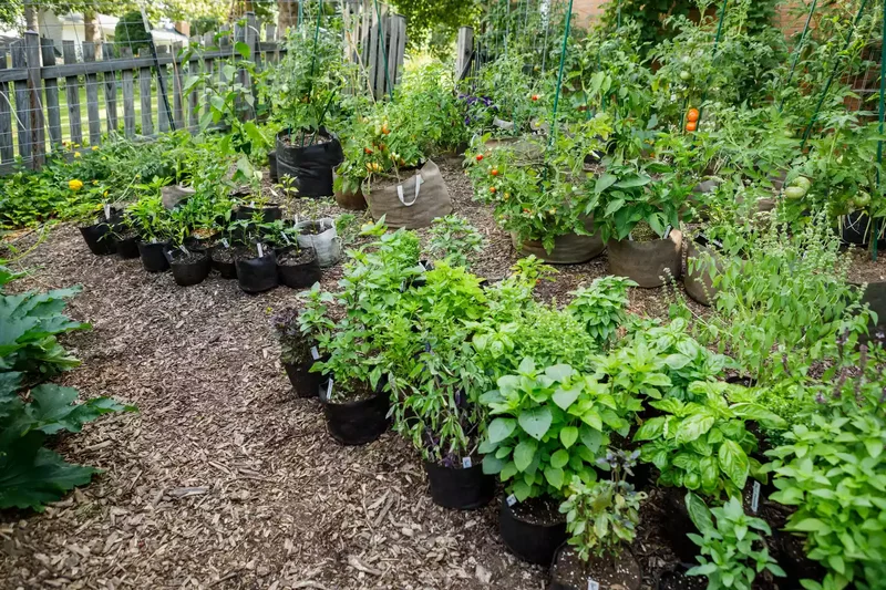 26 Vegetable Garden Ideas for Fresh Homegrown Produce 8 Opt for a Low-Maintenance Container Garden