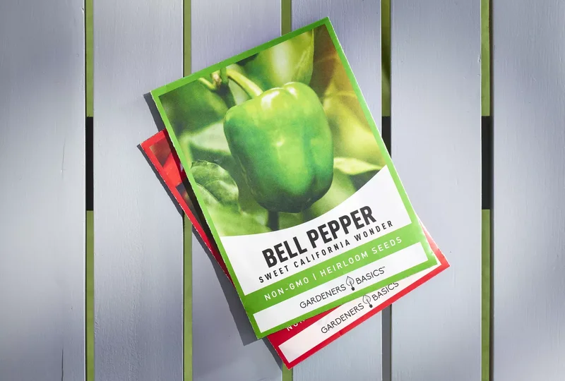 22 Winter Garden Projects That'll Inspire Cold-Weather Planting 15 Order Seeds