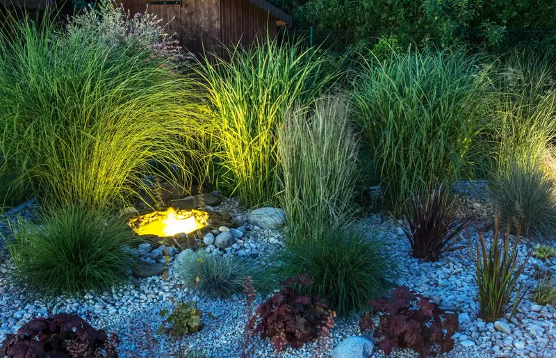 Ornamental Grass Lighting