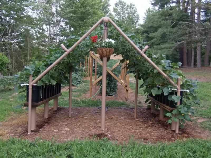 35 Garden Trellis Ideas for Beautiful Supported Plants 5 PVC Pipe Triangular Trellis