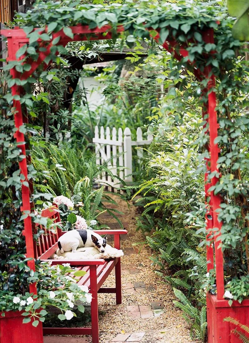 20 Beautiful Garden Arbor Ideas for Your Outdoor Oasis 13 Paint the Garden Arbor