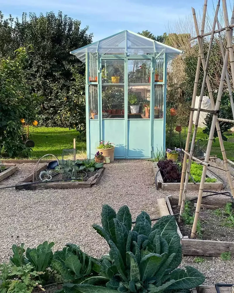 Paint the Greenhouse