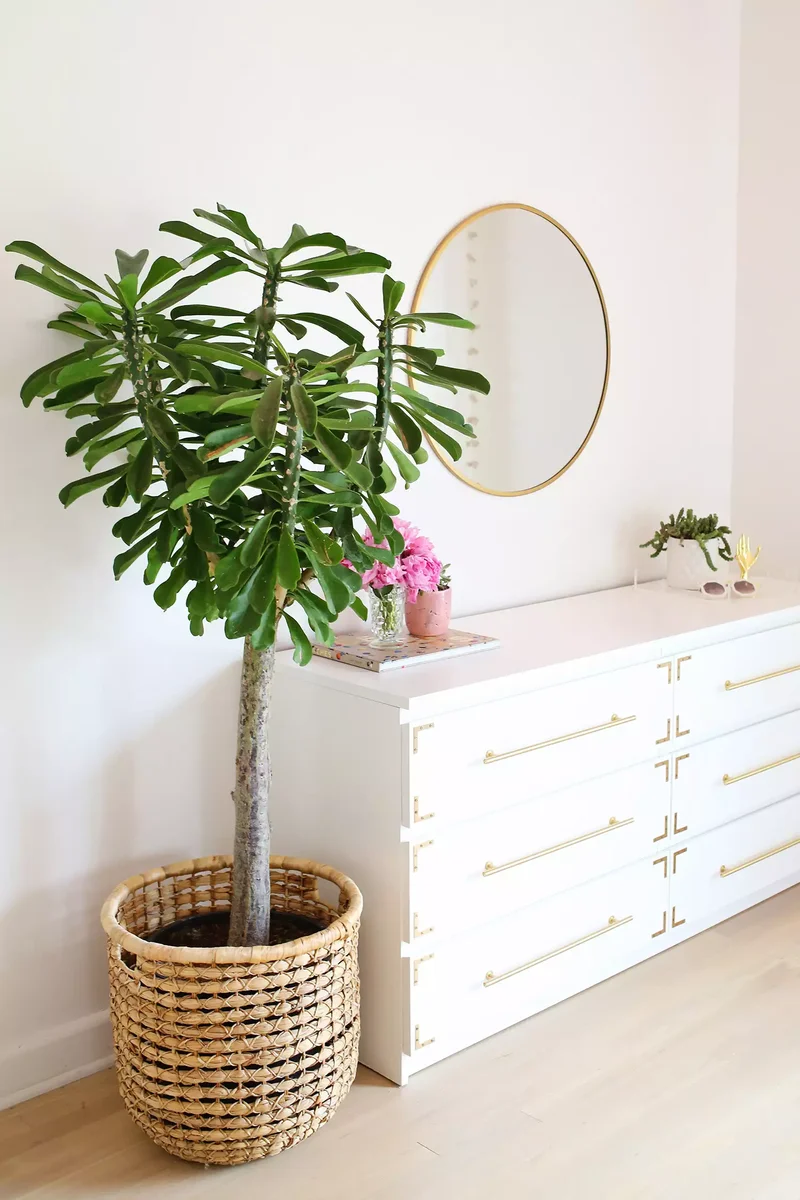 35 Painted Dresser Ideas to Add Style to Your Home 26 Painted Dresser Hardware