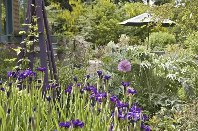 35 Garden Trellis Ideas for Beautiful Supported Plants 26 Painted Trellis