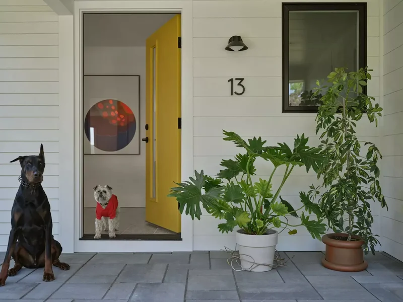 Pair Black and White