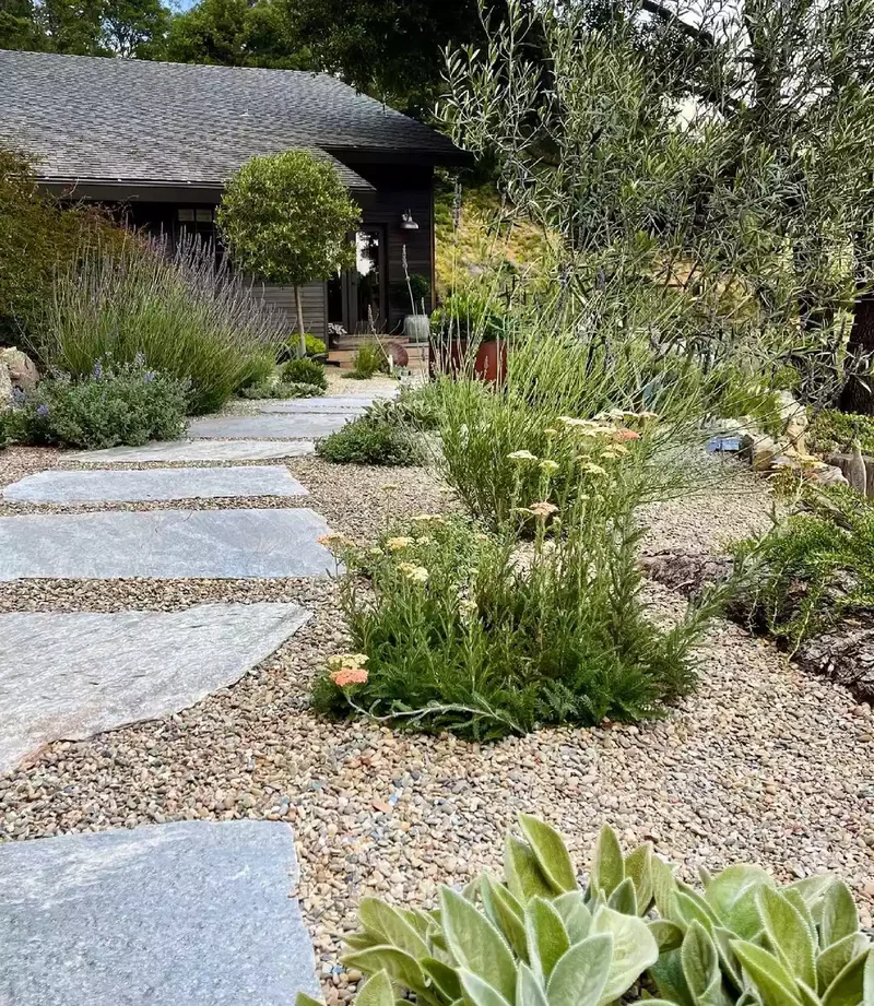 Pathway with Stepping Stones