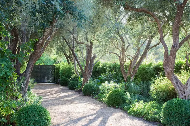 35 Beautiful Driveway Gate Ideas for Any Home Style 9 Peekaboo Driveway Gate