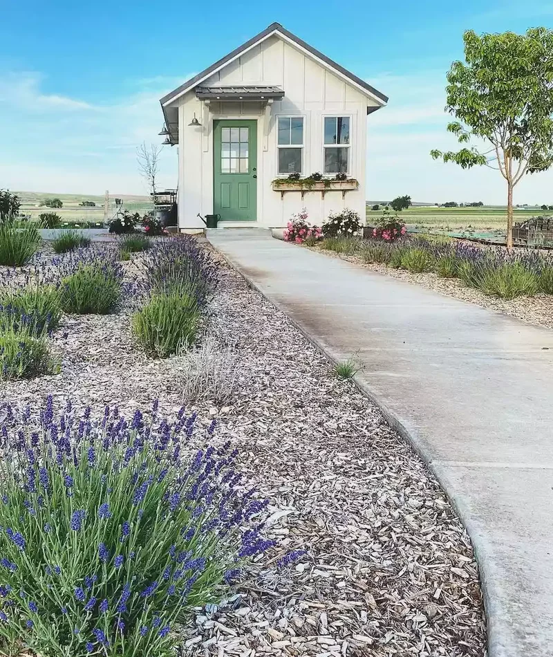 24 Beautiful Desert Landscaping Ideas for Hot Climates 9 Pick Drought-Tolerant Perennials for Front Yard