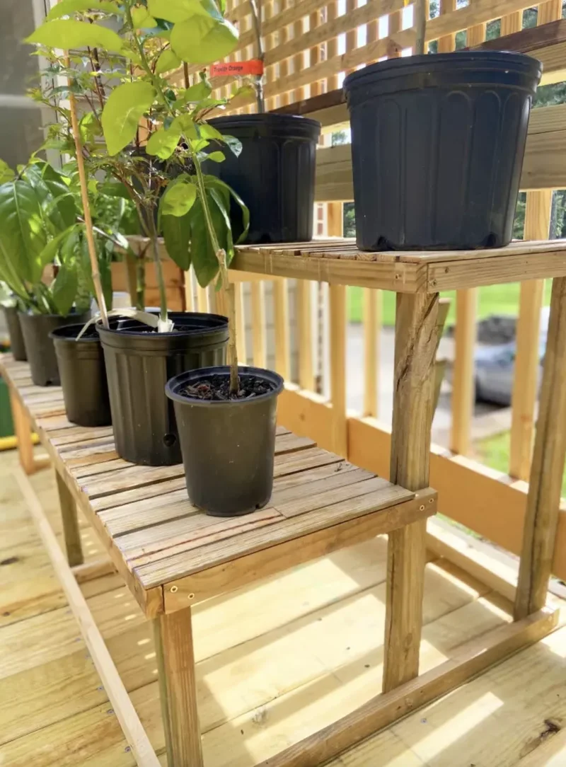 40 Budget-Friendly DIY Backyard Projects for Your Dream Oasis 29 Place Plants on a Two Tier Wooden Stand
