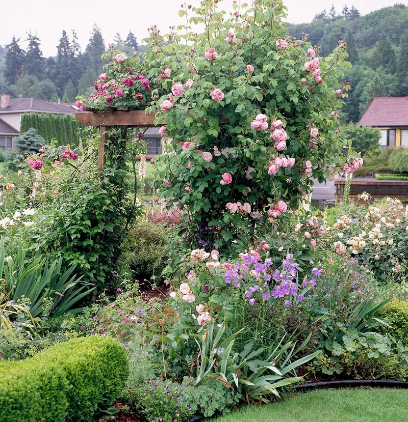 20 Beautiful Garden Arbor Ideas for Your Outdoor Oasis 18 Plant Climbing Roses