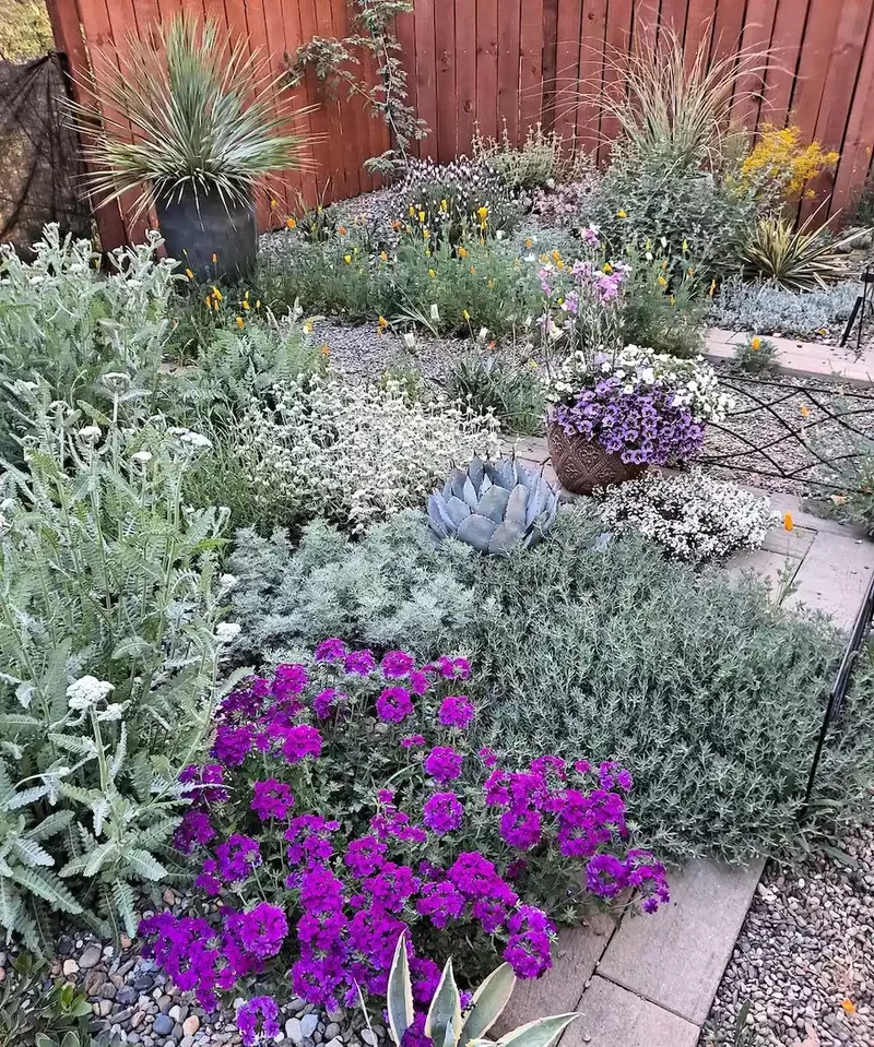 24 Beautiful Desert Landscaping Ideas for Hot Climates 24 Plant Closely to Save Water