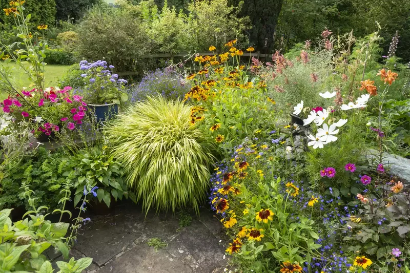 43 Budget-Friendly Backyard Makeover Ideas You'll Love 36 Plant Low-Maintenance Perennials