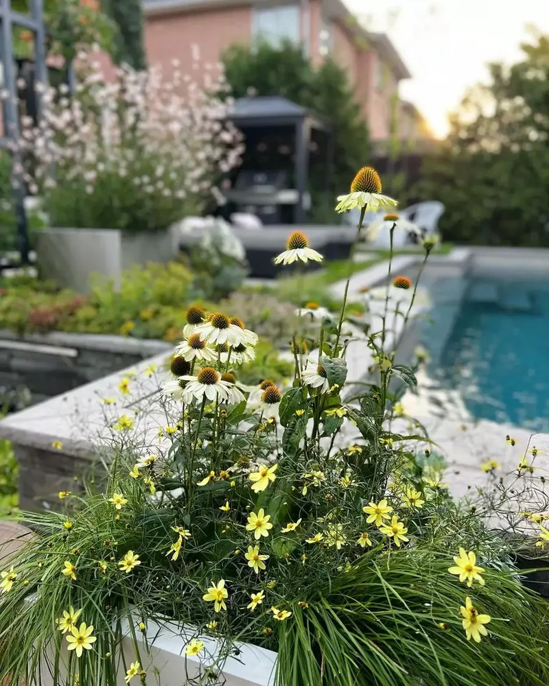 66 Beautiful Patio Landscaping Ideas for Your Outdoor Space 50 Plant Pollinators